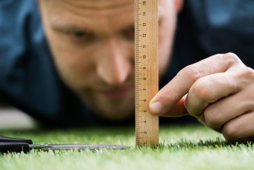 How to Keep Your Lawn Green and Healthy