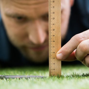 How to Keep Your Lawn Green and Healthy