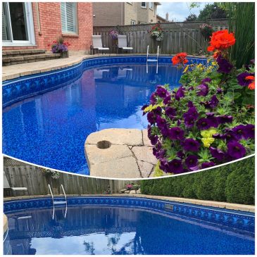 Pool’s Open! | Renovation and Family Update